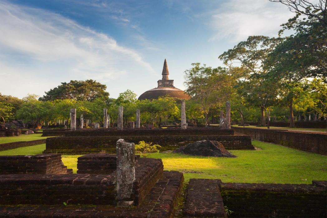 Cultural Heritage 8